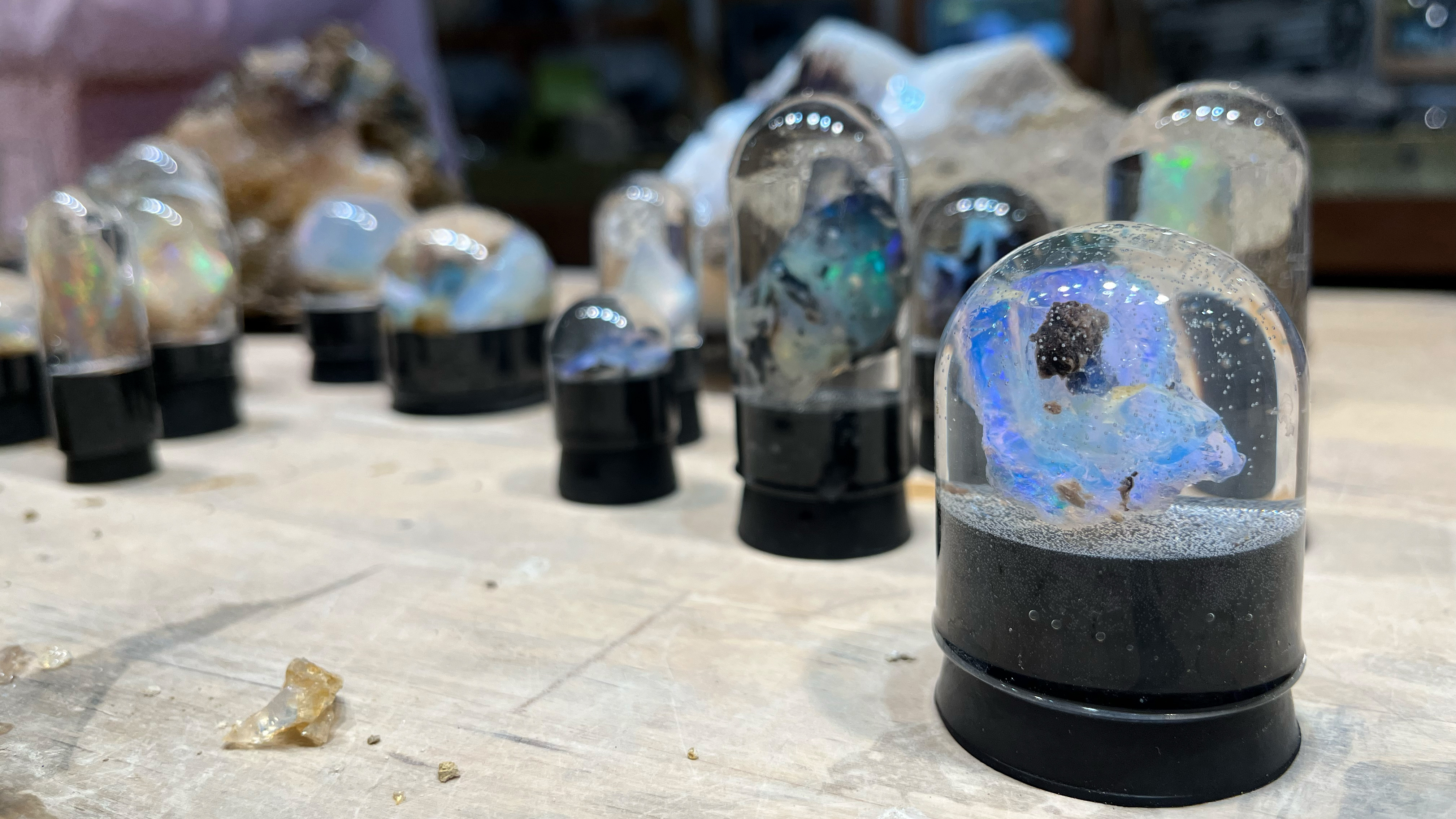 Check for Wild Nevada Season 7 airing on a public television station near you!